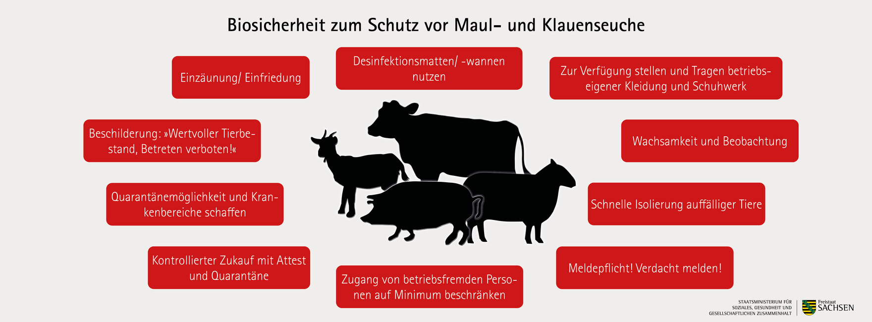 Das Bild ist eine Infografik mit dem Titel „Hinweis für Tierhalter zum Schutz vor Maul- und Klauenseuche“. In der Mitte befindet sich eine schwarze Silhouette einer Kuh. Rund um die Kuh sind rote Kästen mit weißem Text angeordnet, die Schutzmaßnahmen geg